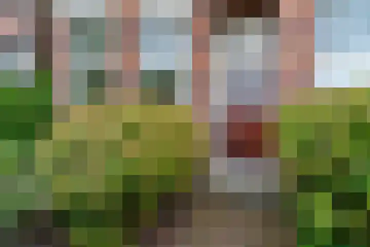 Sonsbeekweg 36 Arnhem thumbnail 5