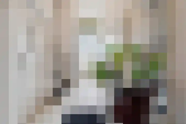 Sonsbeekweg 36 Arnhem thumbnail 6
