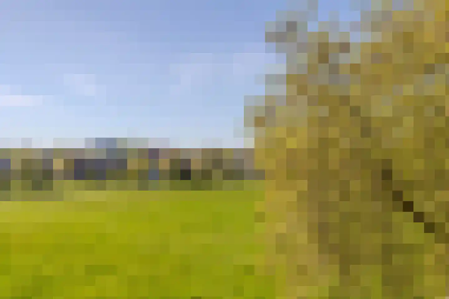 Sonsbeekweg 40 2 Arnhem thumbnail 14