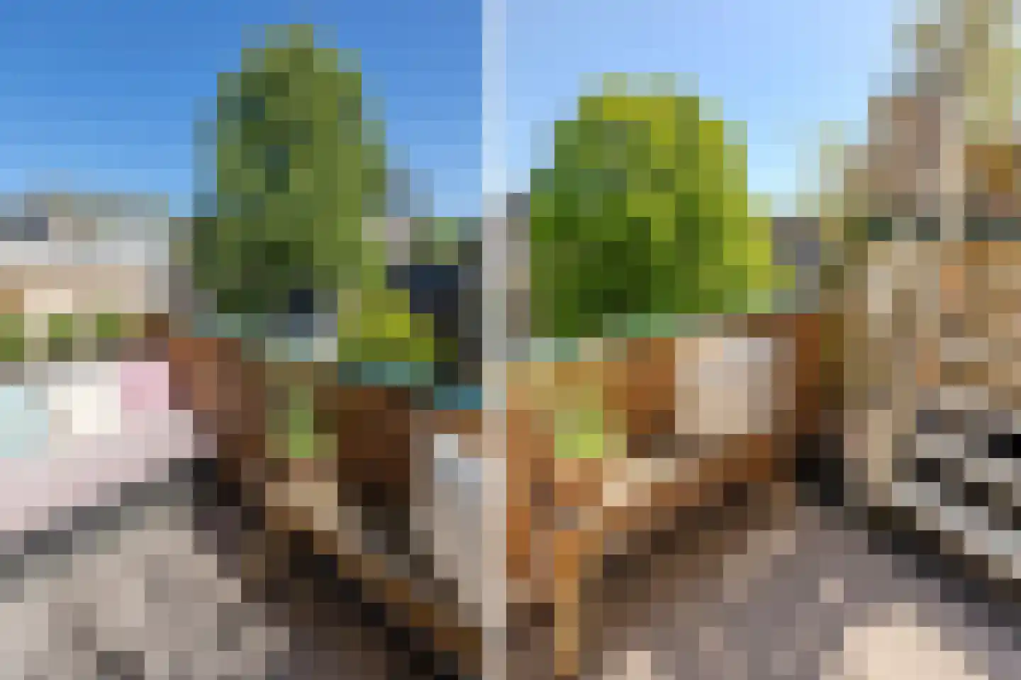 Sonsbeekweg 40 2 Arnhem thumbnail 24