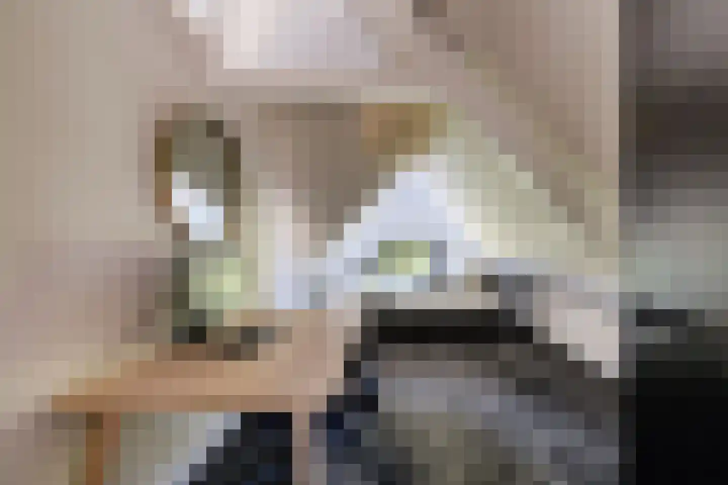 Sonsbeekweg 40 2 Arnhem thumbnail 37