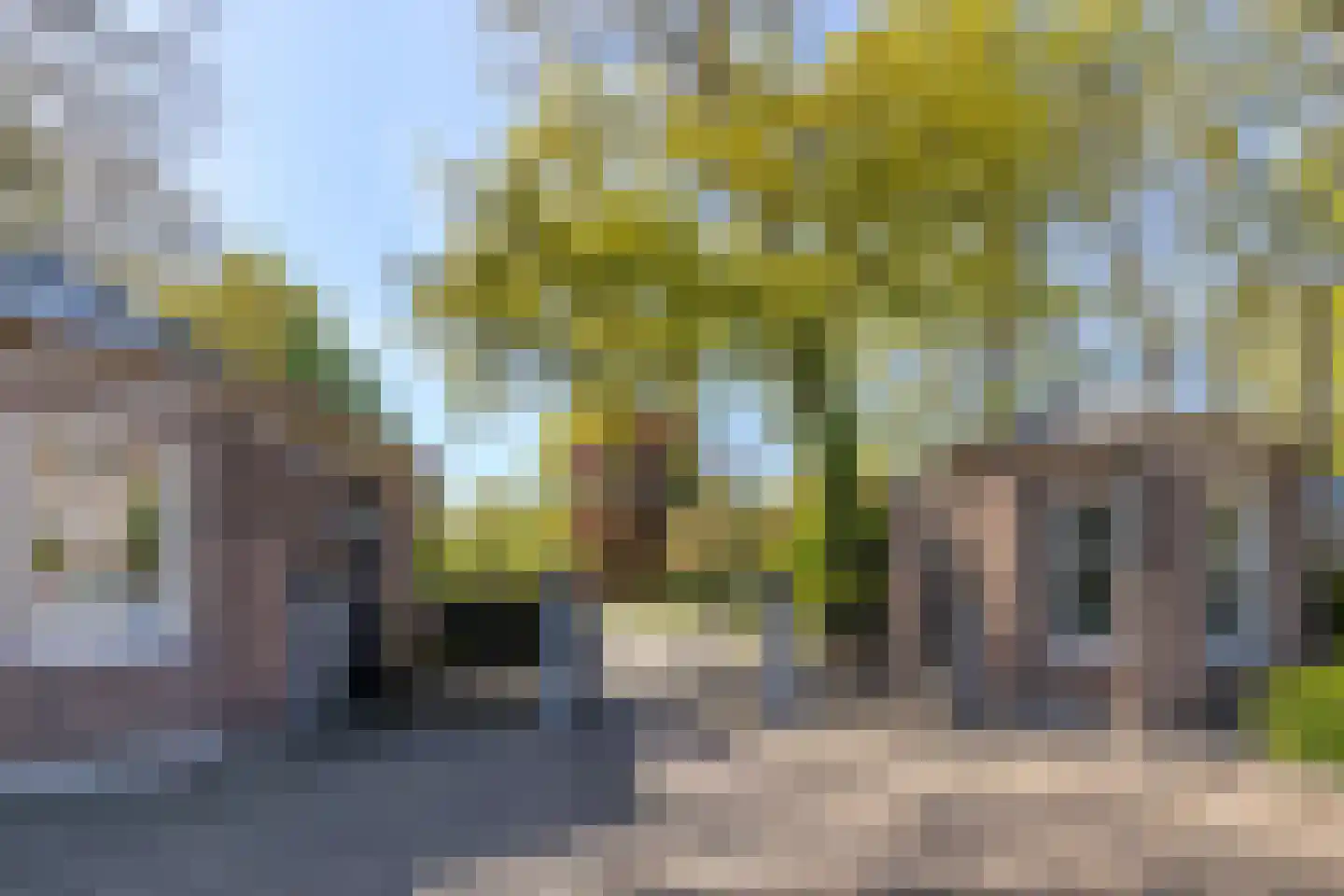 Sonsbeekweg 40 2 Arnhem thumbnail 40