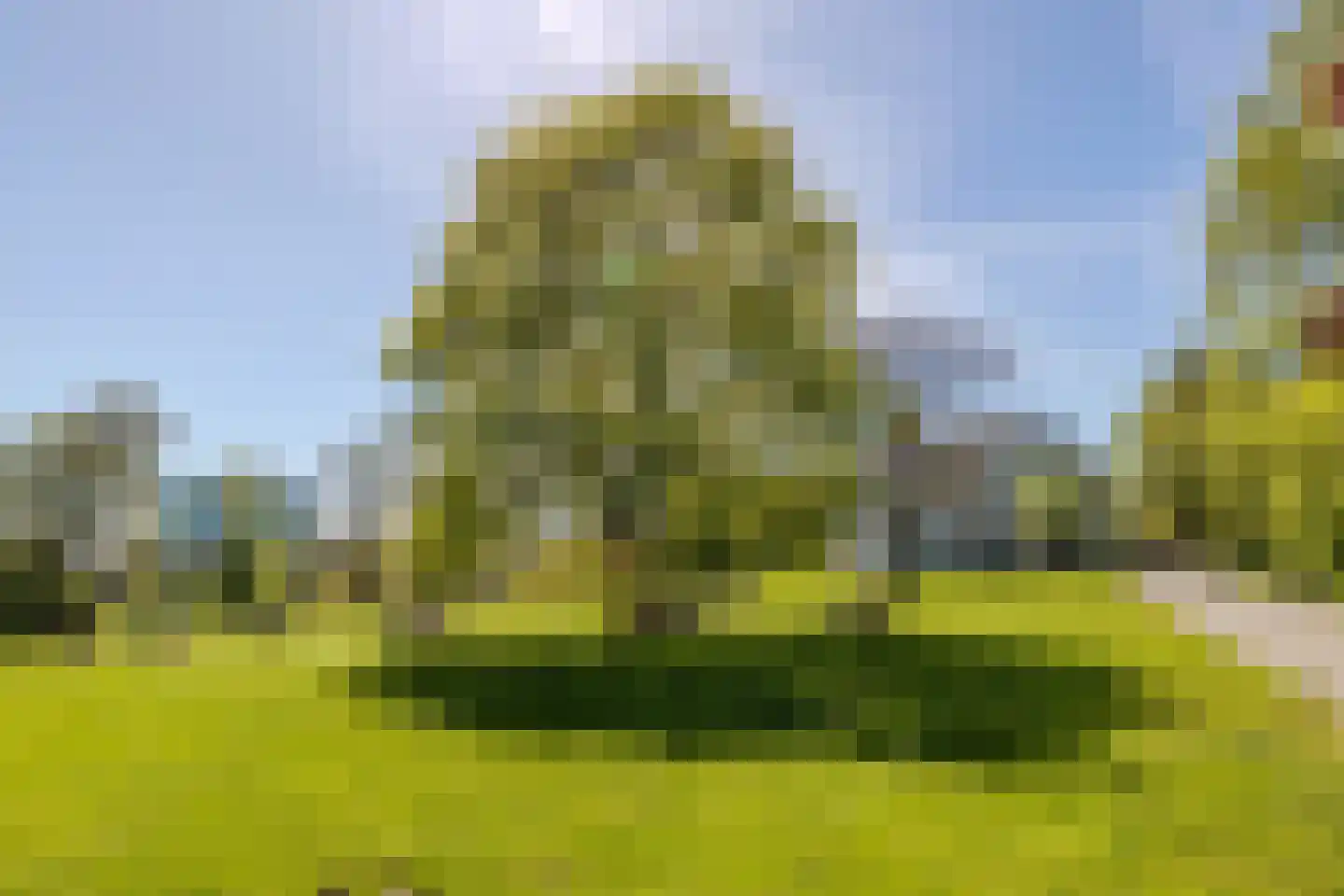 Sonsbeekweg 40 2 Arnhem thumbnail 41