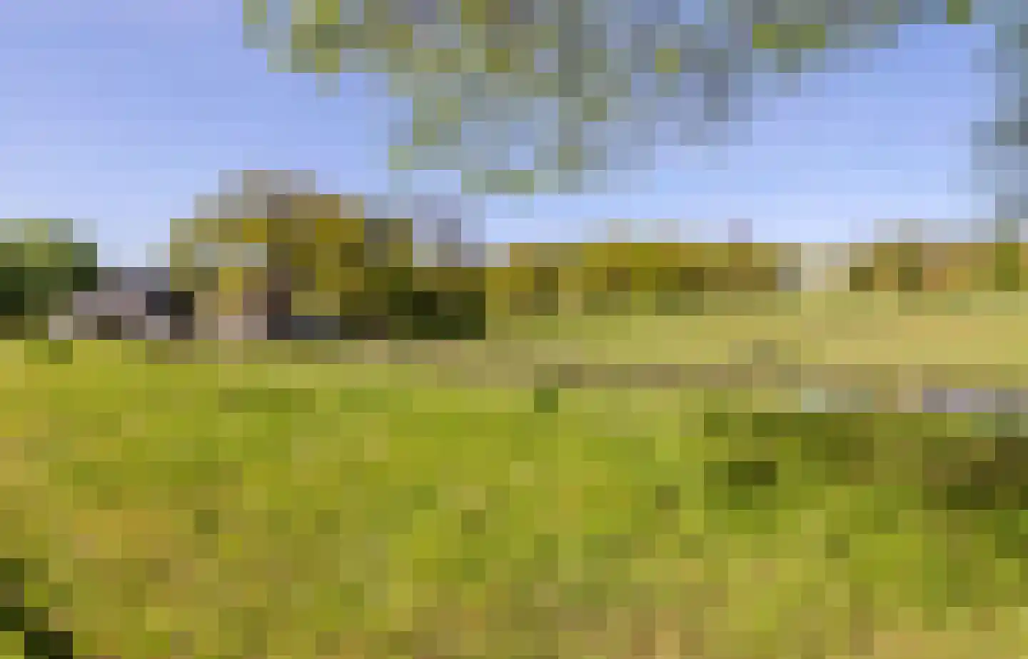 Sonsbeekweg 40 2 Arnhem thumbnail 42