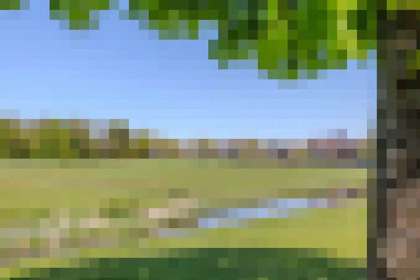 Sonsbeekweg 40 2 Arnhem thumbnail 43