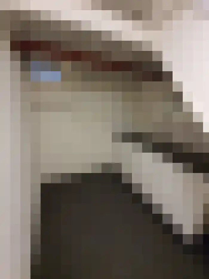 Sonsbeekweg Arnhem thumbnail 7