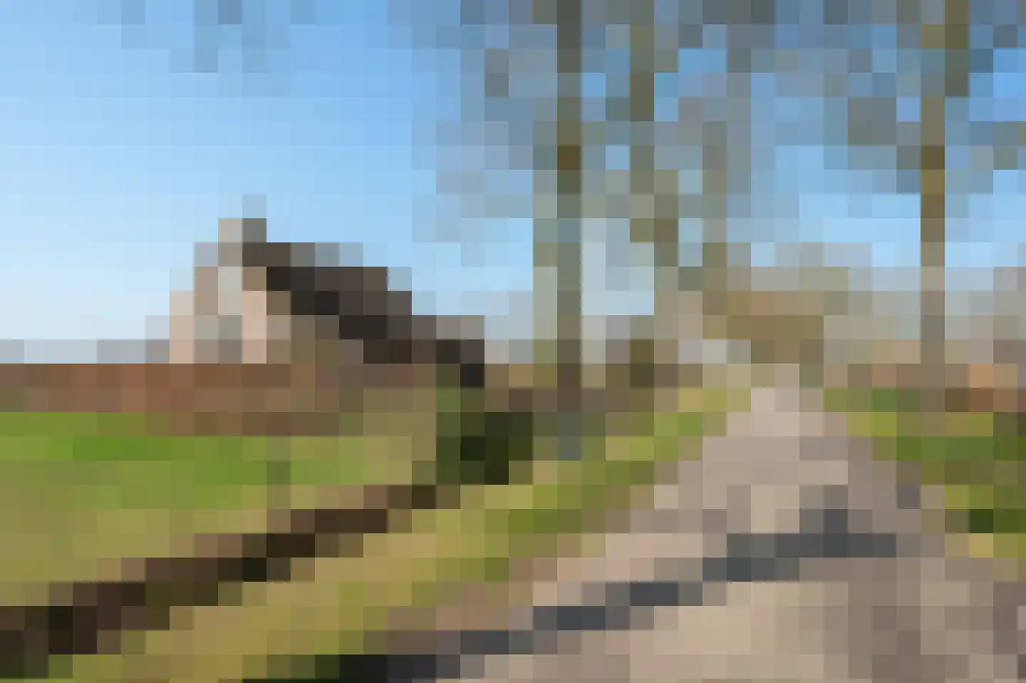 Sonse-Heideweg 8 Sint-Oedenrode thumbnail 50