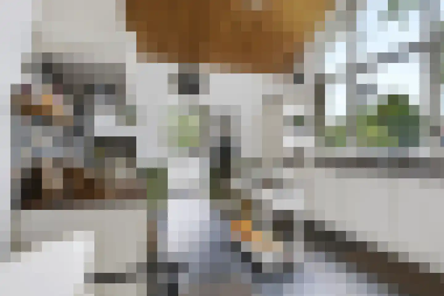 Sonseweg 13 Sint-Oedenrode thumbnail 4
