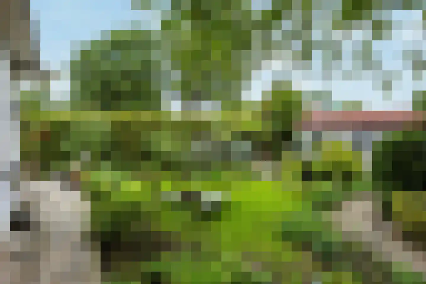 Sonseweg 13 Sint-Oedenrode thumbnail 6