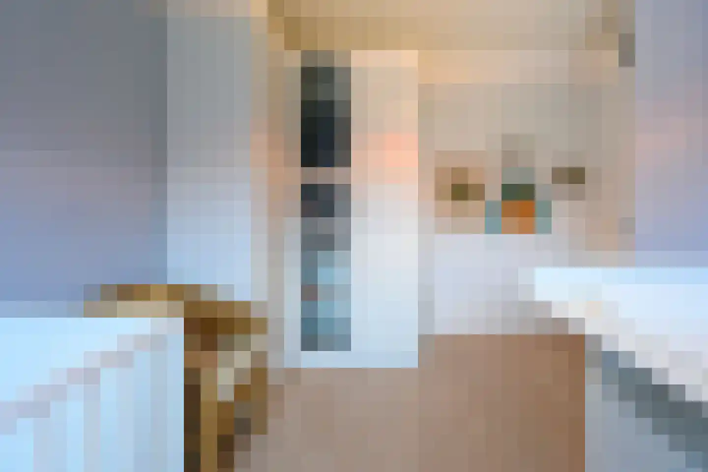 Sonsvelthof 16 Zutphen thumbnail 12