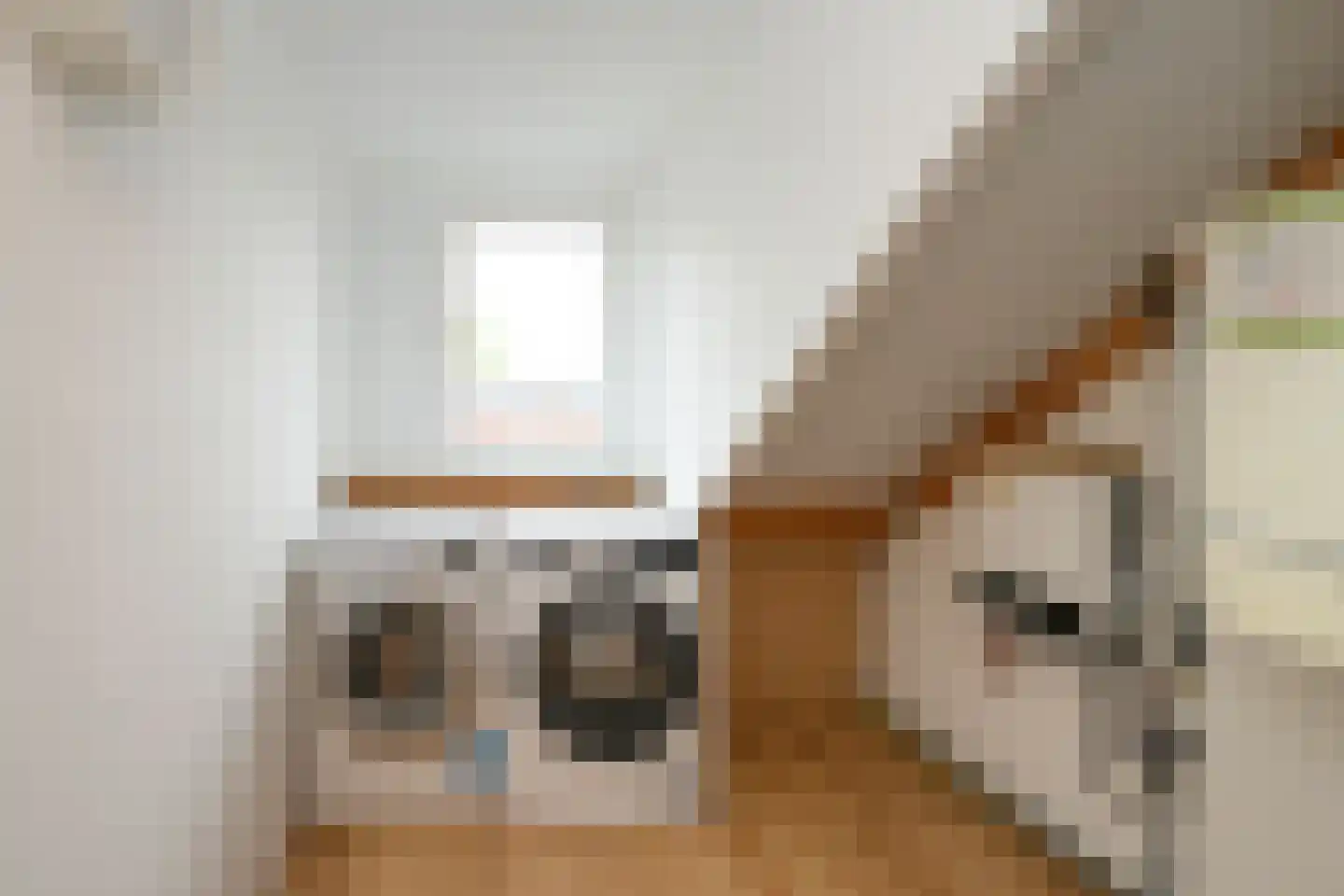 Sonsvelthof 16 Zutphen thumbnail 17