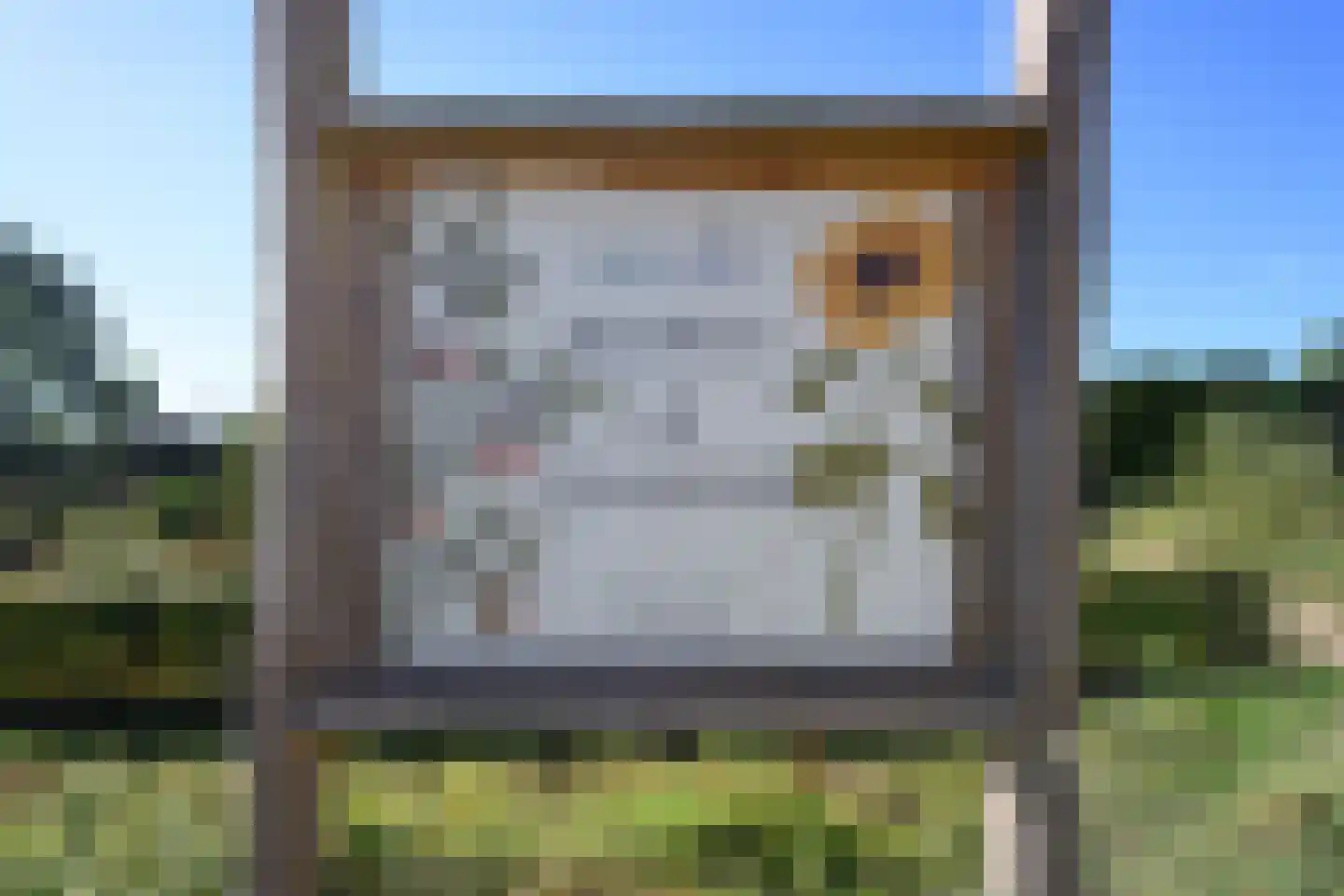 Sonsvelthof 16 Zutphen thumbnail 28