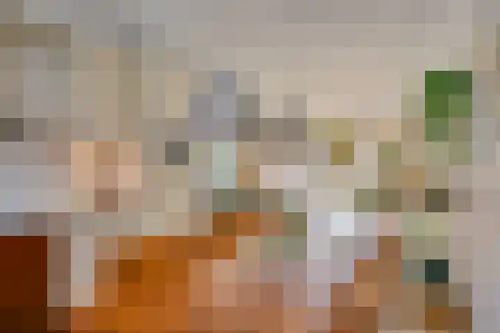 Sonsvelthof 9 Zutphen thumbnail 13