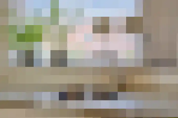 Sonsvelthof 9 Zutphen thumbnail 15