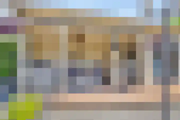 Sonsvelthof 9 Zutphen thumbnail 29