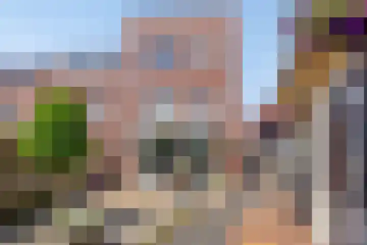 Sonsvelthof 9 Zutphen thumbnail 30