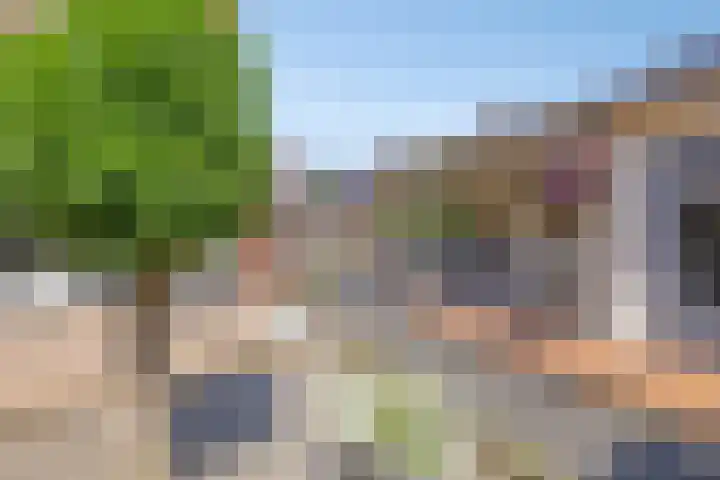 Sonsvelthof 9 Zutphen thumbnail 31