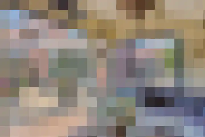 Sonsvelthof 9 Zutphen thumbnail 33