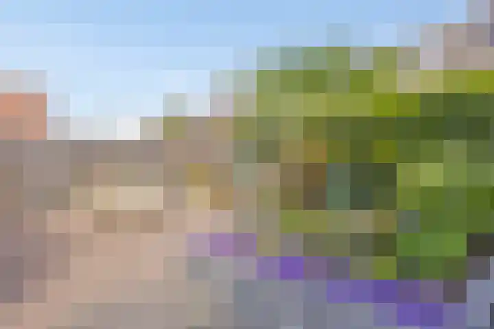 Sonsvelthof 9 Zutphen thumbnail 35