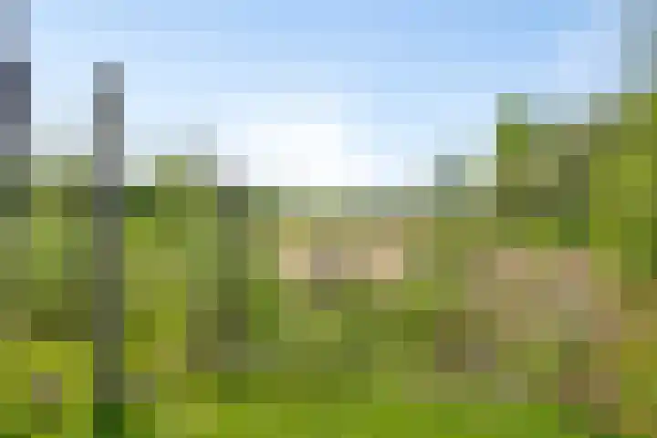 Sonsvelthof 9 Zutphen thumbnail 40