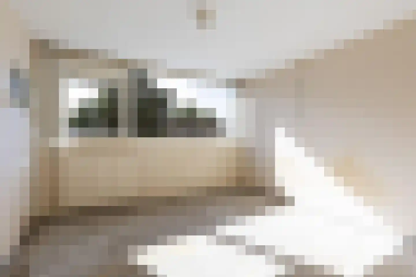 Sont 106 Delfzijl thumbnail 11