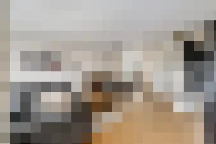 Sont 13 Zaandam thumbnail 10