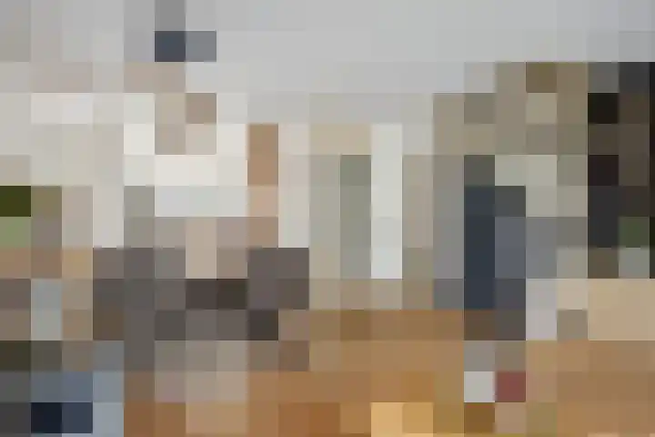 Sont 13 Zaandam thumbnail 11