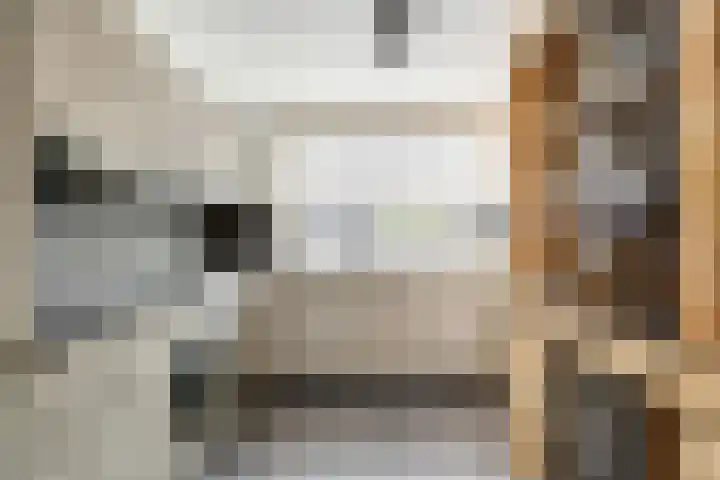 Sont 13 Zaandam thumbnail 13
