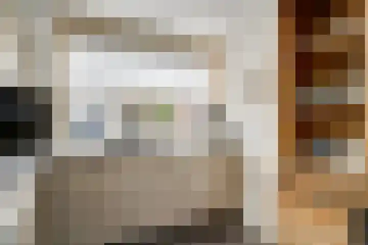 Sont 13 Zaandam thumbnail 14