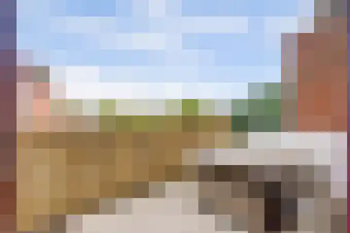 Sont 13 Zaandam thumbnail 15