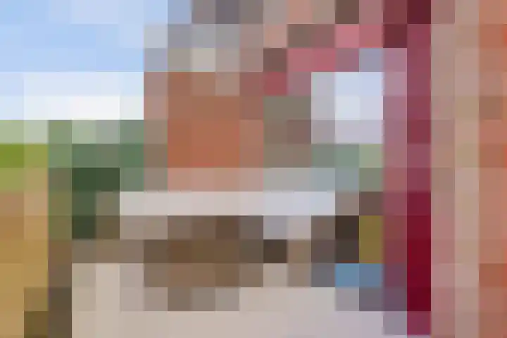 Sont 13 Zaandam thumbnail 16