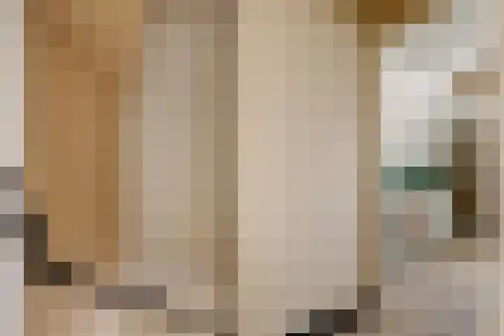 Sont 13 Zaandam thumbnail 18