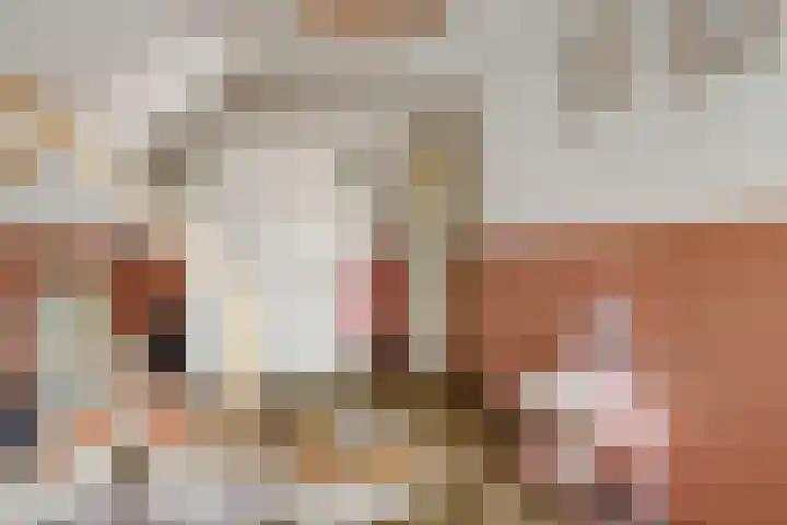 Sont 13 Zaandam thumbnail 20