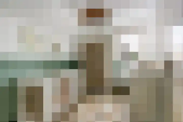 Sont 13 Zaandam thumbnail 21