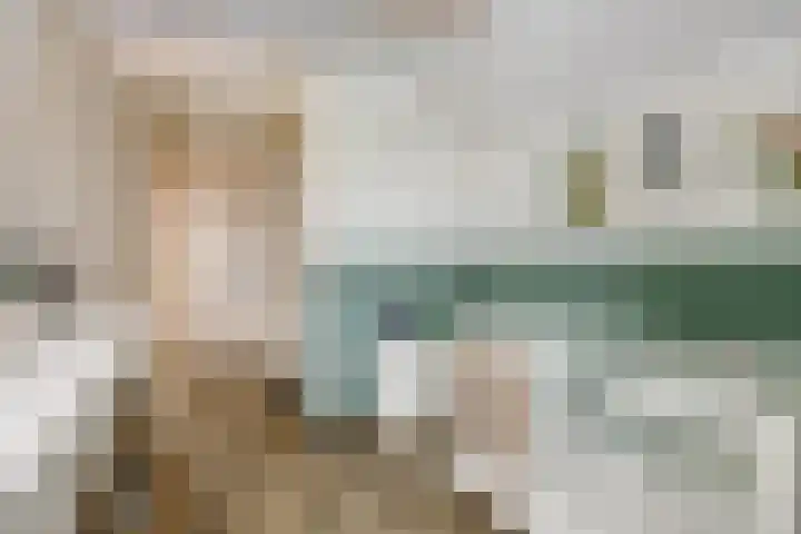 Sont 13 Zaandam thumbnail 22