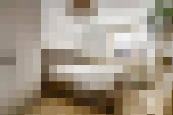 Sont 13 Zaandam thumbnail 23