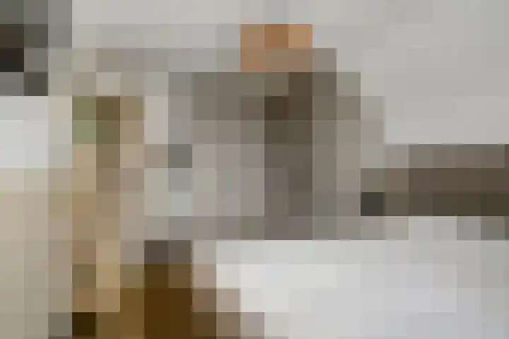 Sont 13 Zaandam thumbnail 24