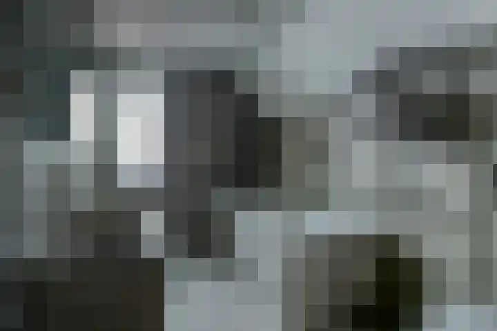 Sont 13 Zaandam thumbnail 25