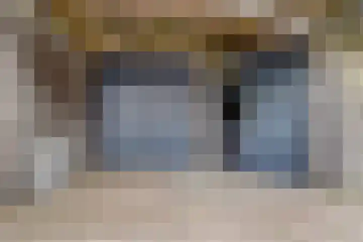 Sont 13 Zaandam thumbnail 29