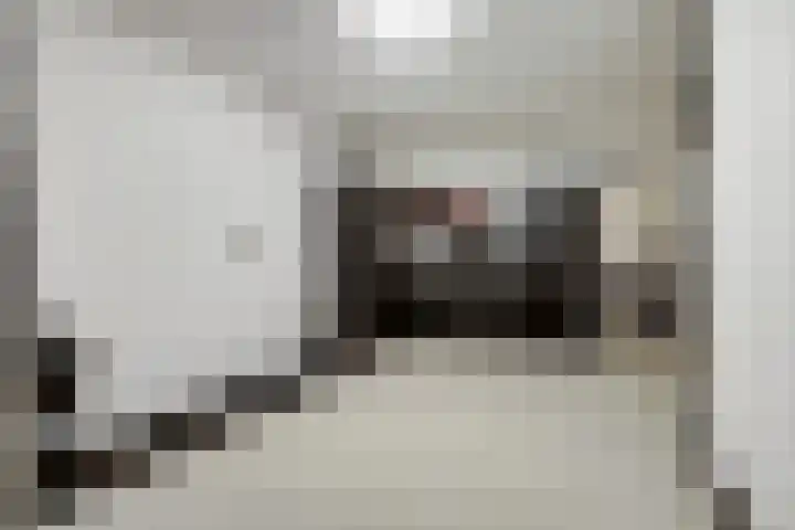 Sont 13 Zaandam thumbnail 30