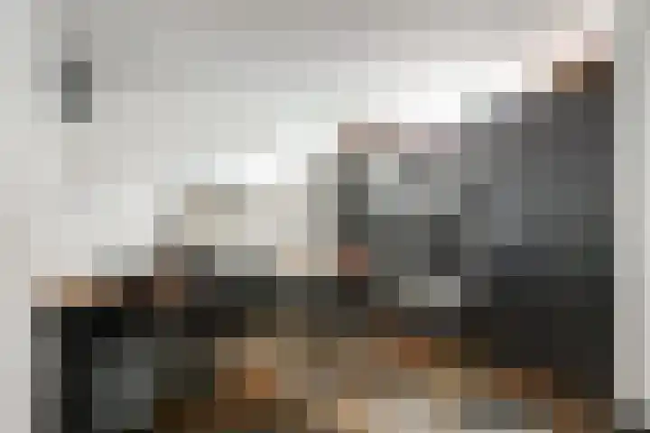 Sont 13 Zaandam thumbnail 32