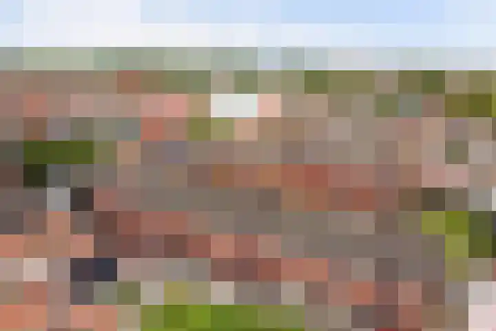 Sont 13 Zaandam thumbnail 35