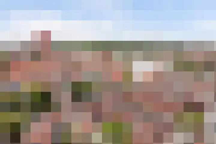 Sont 13 Zaandam thumbnail 36