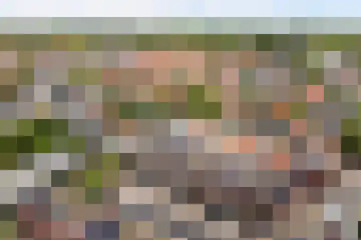 Sont 13 Zaandam thumbnail 37