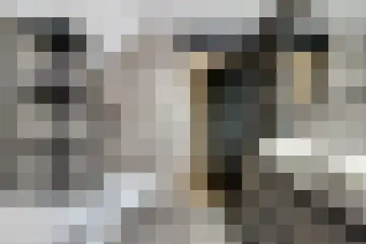 Sont 13 Zaandam thumbnail 4