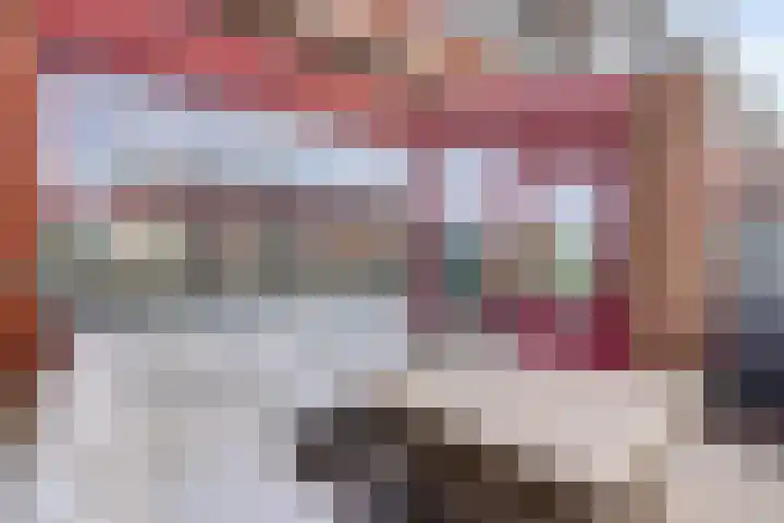 Sont 13 Zaandam thumbnail 5