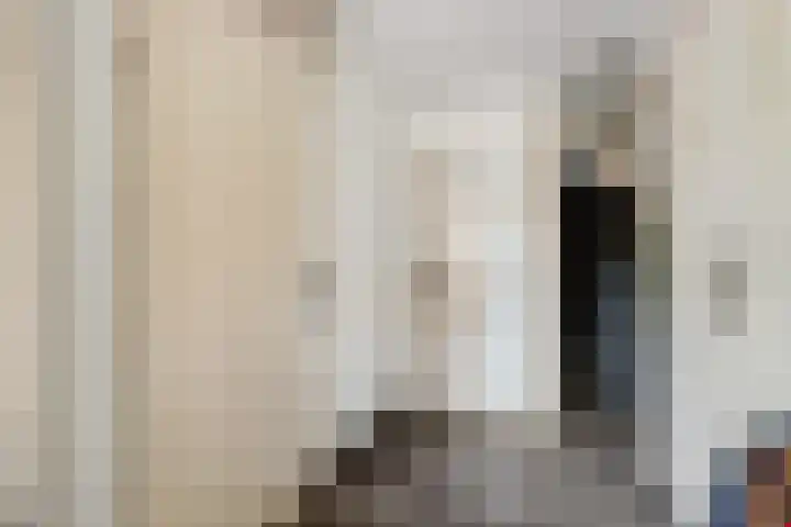 Sont 13 Zaandam thumbnail 7