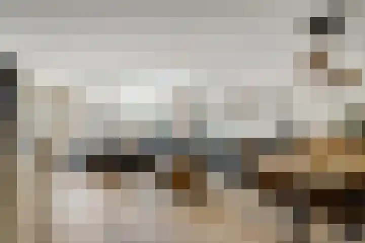 Sont 13 Zaandam thumbnail 9