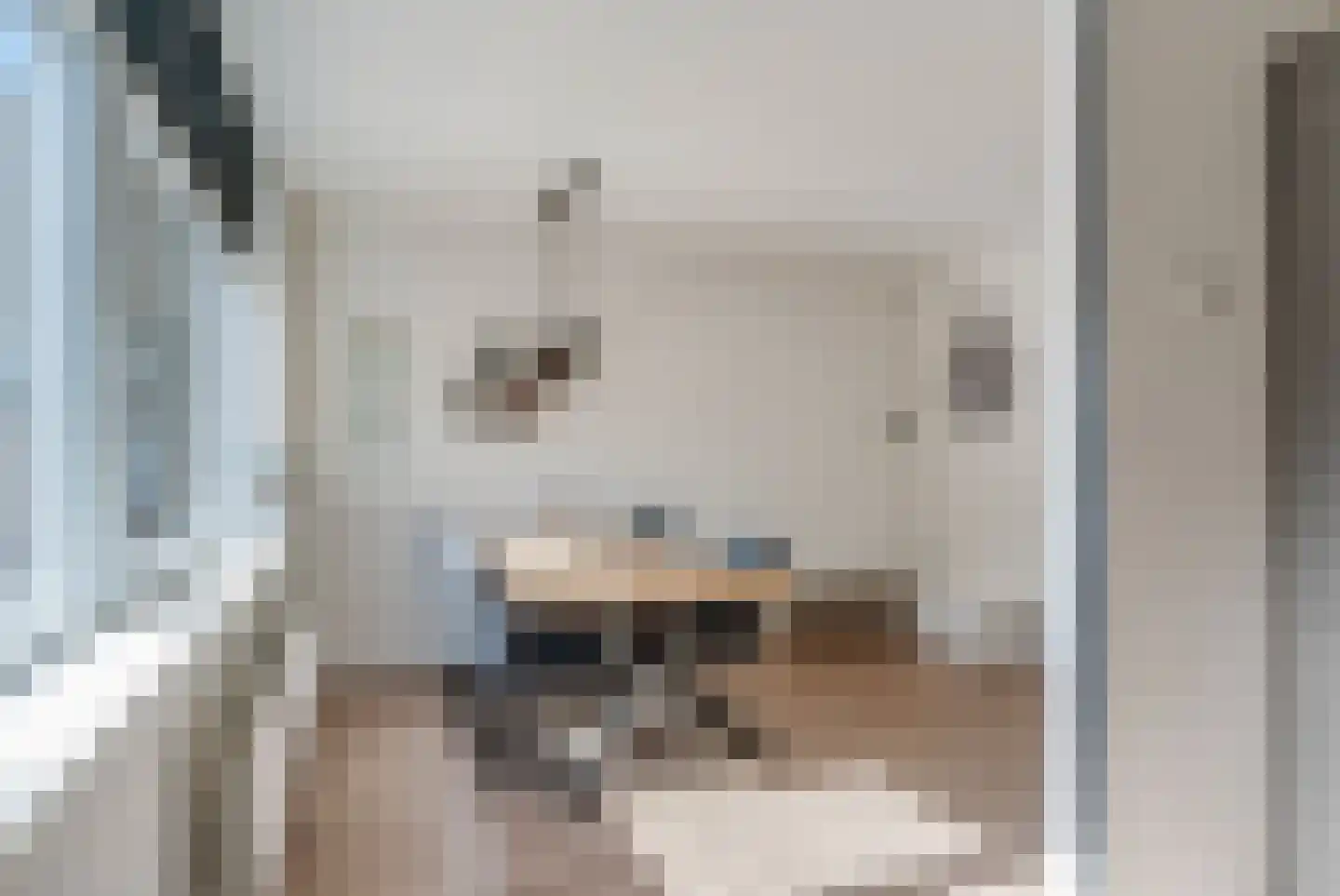 Sont 24 Delfzijl thumbnail 26
