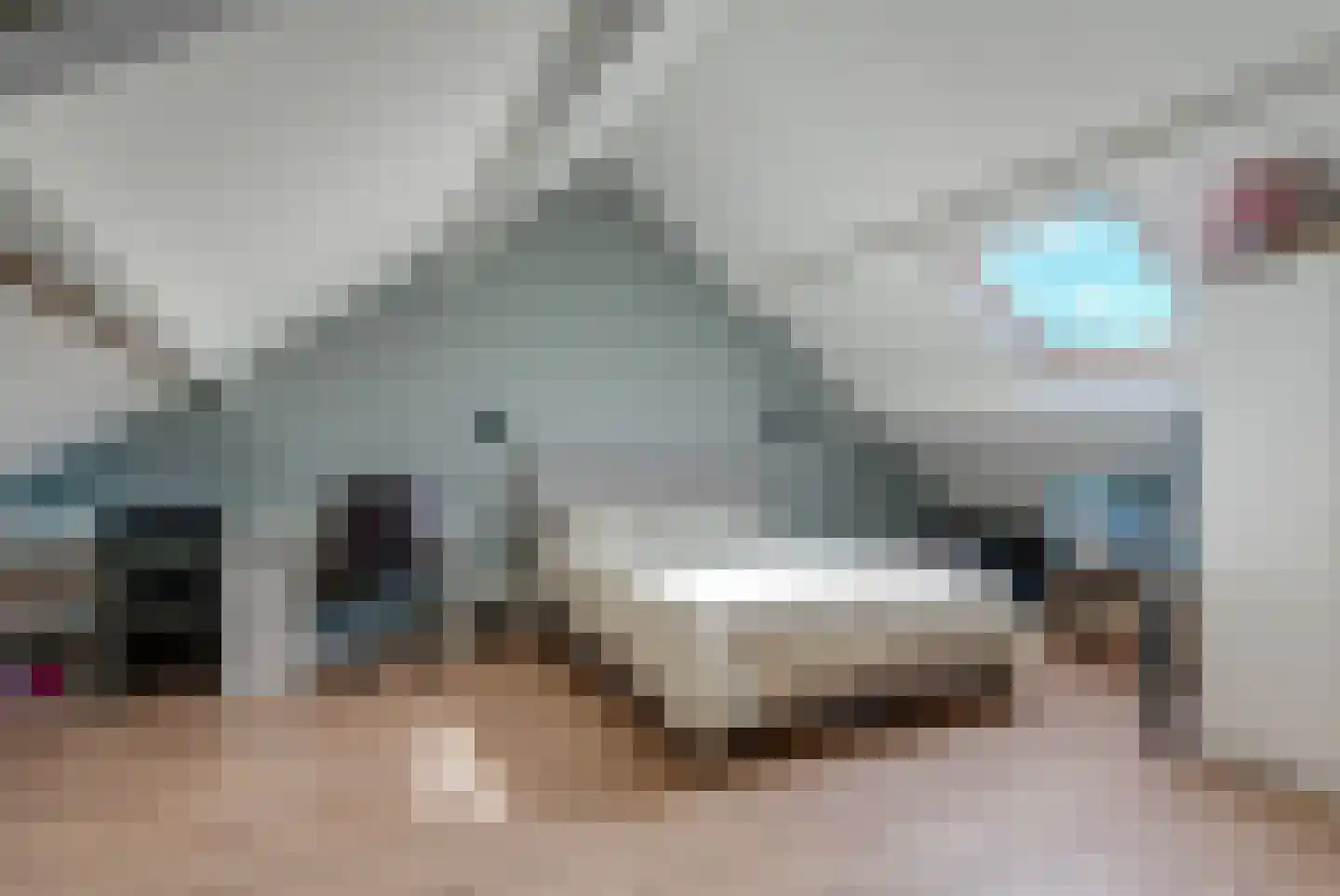 Sont 24 Delfzijl thumbnail 39